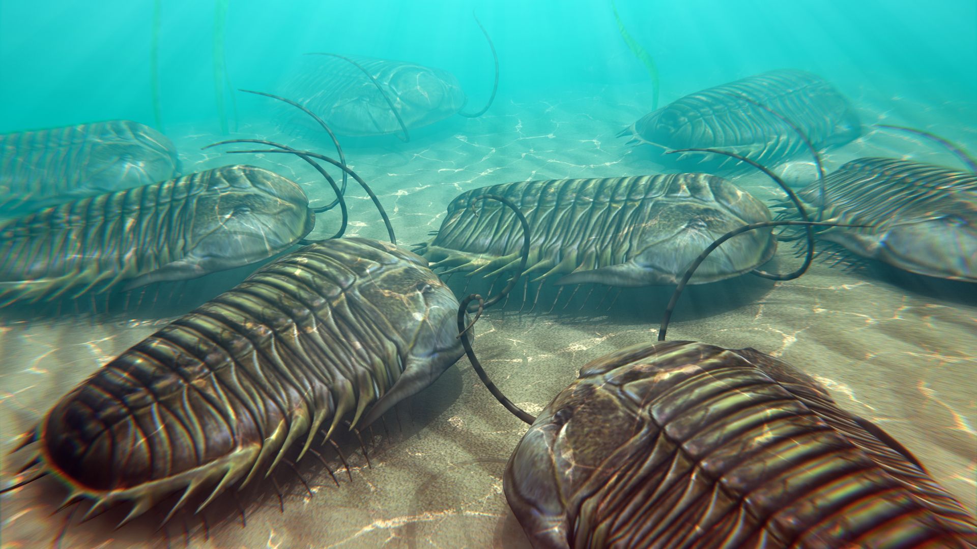 World's oldest known case of cannibalism revealed in trilobite fossils ...