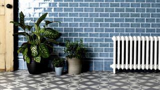 Wall of glossy blue tiles in standard brick bond pattern with door, plant and white column radiator in front