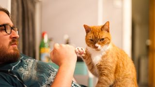 Man and his cat give each other a fist bump