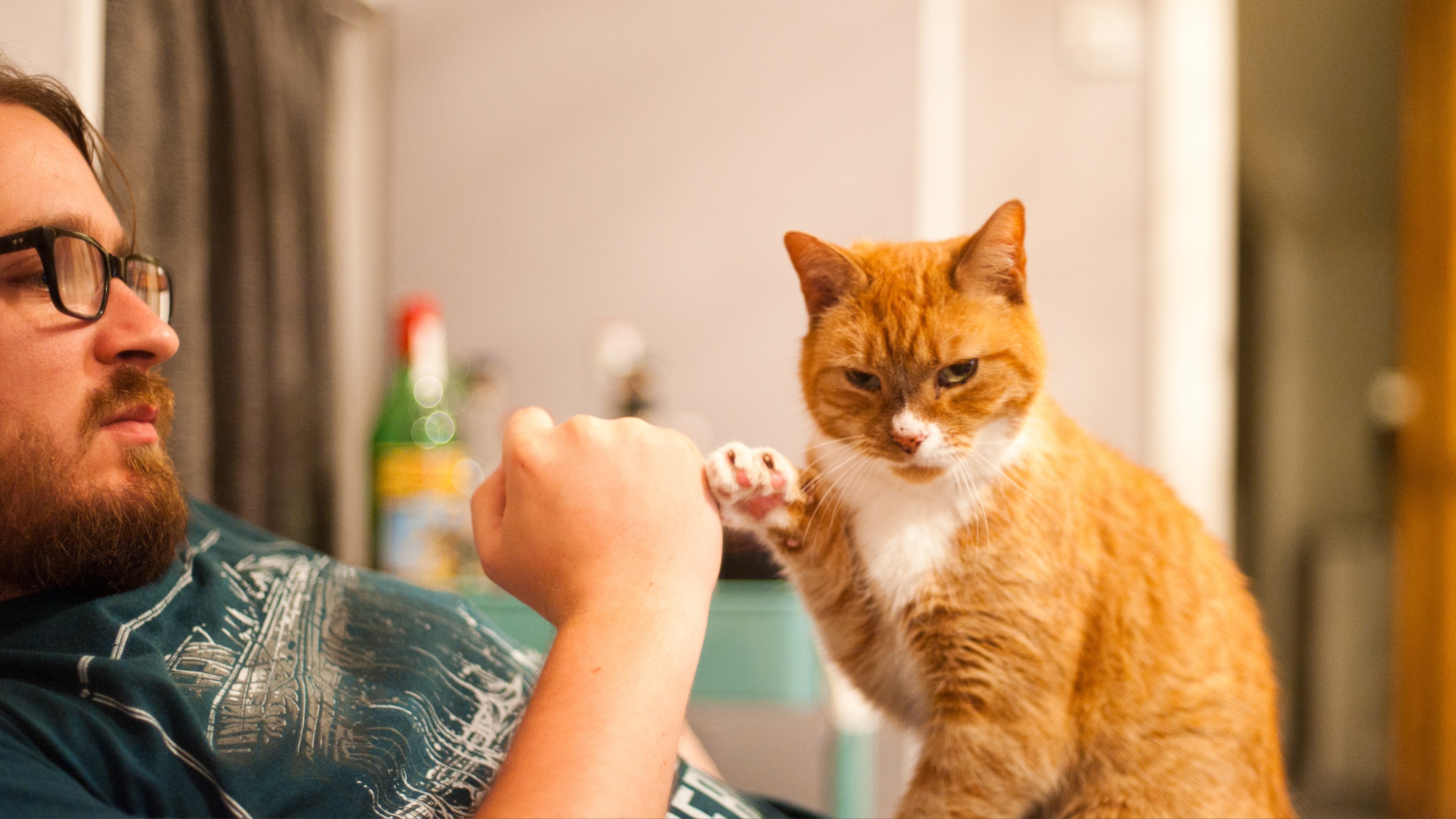 Man and his cat give each other a fist bump