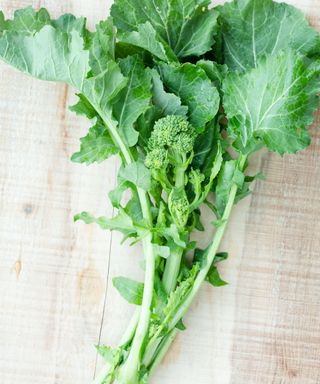 Freshly harvested broccoli rabe