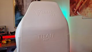 The branding on the back of the Secretlab Titan Evo NanoGen Edition