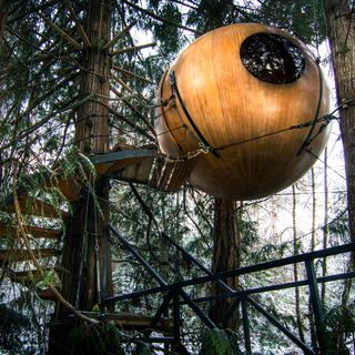 round wooden shed in forest with curved ladder