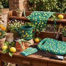 lemon-print gardening accessories including kneeler and watering can from Aldi's new garden range