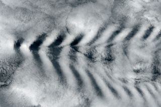 Over Amsterdam Island on Earth, a mountain wave disrupts clouds, resulting in a distinctive pattern.