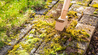 Moss on driveway with a brush on top of it