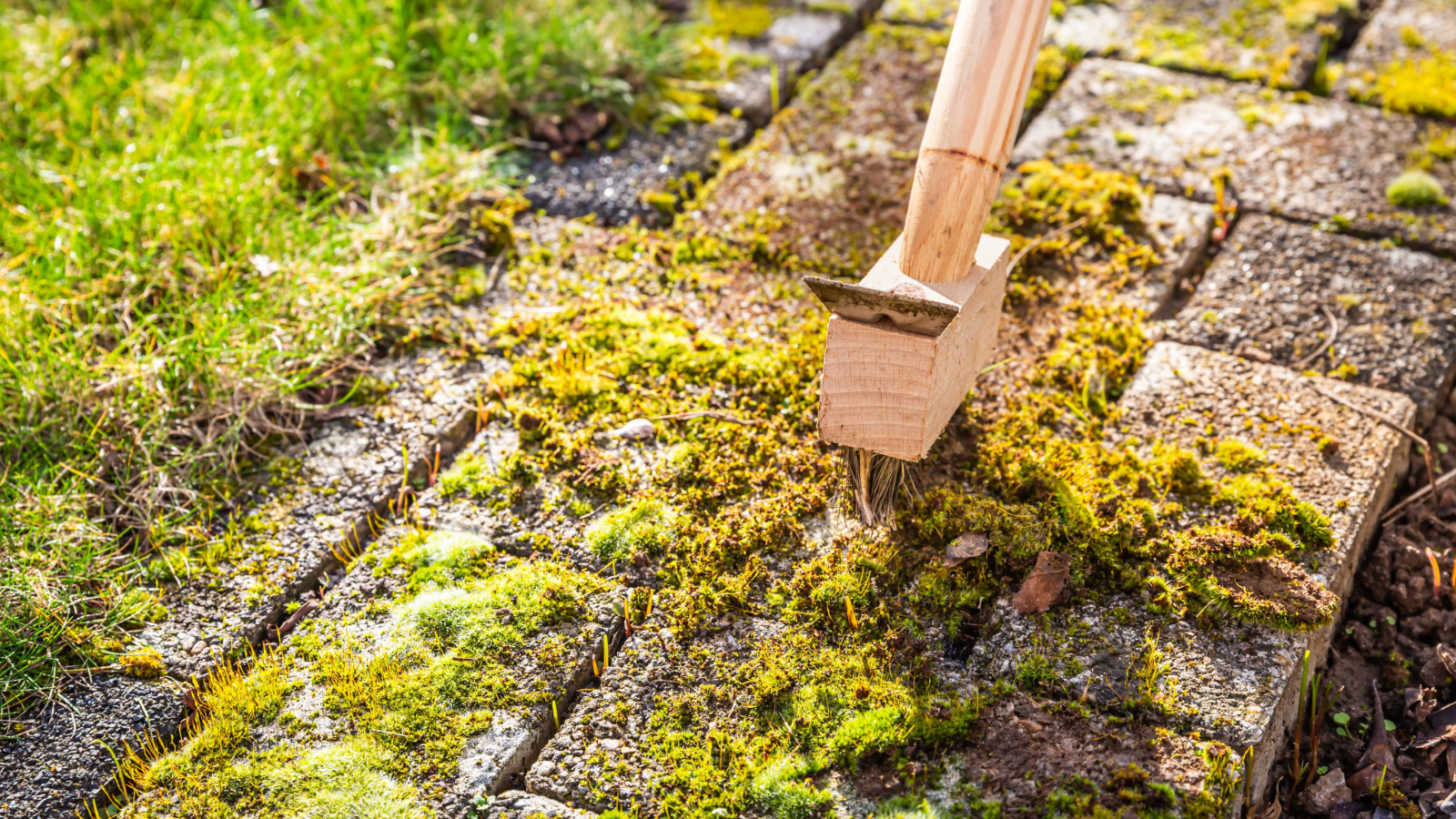 Moss on driveway with a brush on top of it
