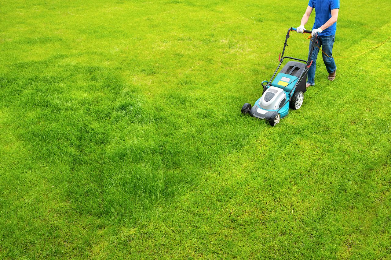 the best electric lawn mower being used on a front lawn 