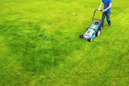 the best electric lawn mower being used on a front lawn 