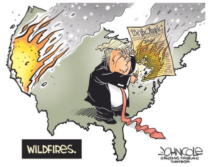 Political Cartoon U.S. Trump wildfires constitution