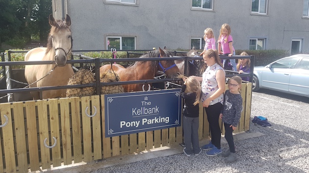Pony-parking.jpeg