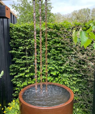 The rain and chain barrel water feature at RHS Chelsea Flower SHow