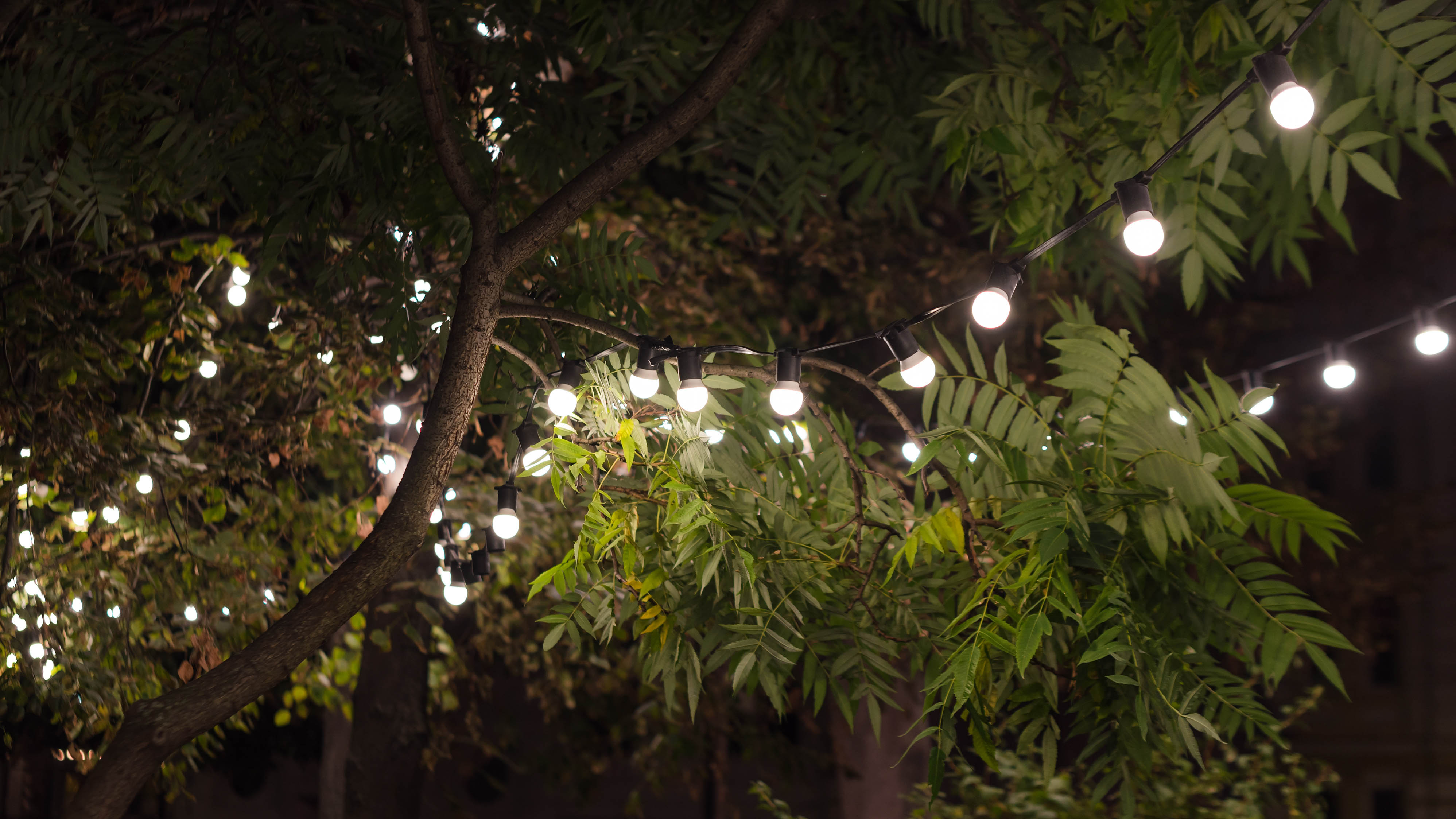 How to best place solar lights: Solar string lights