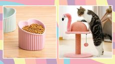 A split image of pet food bowls and a cat scratching post on a pink and blue background.