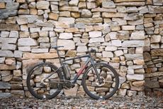 BMC Alpenchallenge AMP