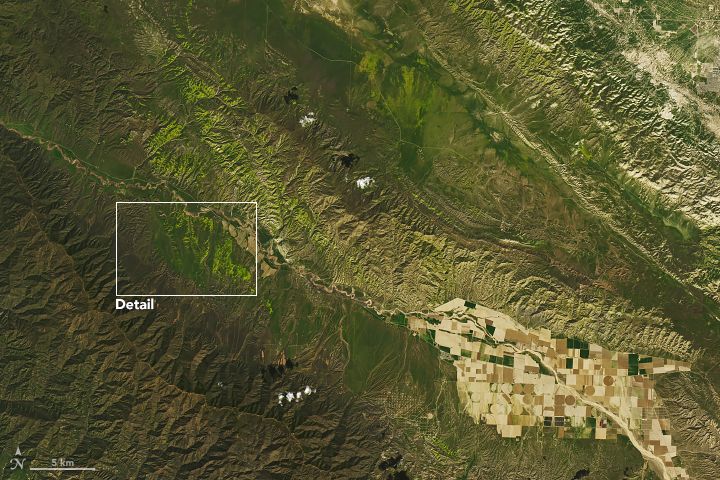 An explosion of wildflowers is visible in this view of Southern California from the Landsat 8 satellite's Operational Land imager, taken March 18, 2019.