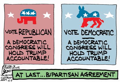 Political cartoon U.S. bipartisanship Trump accountable midterms