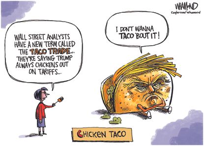 Political Cartoon