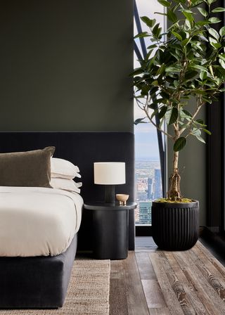 minimalist green bedroom with green walls and indoor tree
