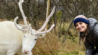 a white reindeer on the left and a woman wearing a hat and smiling on the right.