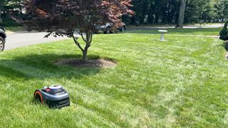 Navimow i110 navigates front lawn