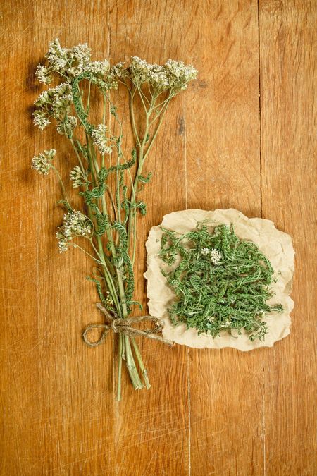 Bouquet Of Dried Yarrow Plants