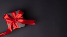 christmas present with red bow