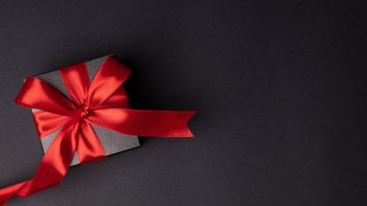 christmas present with red bow