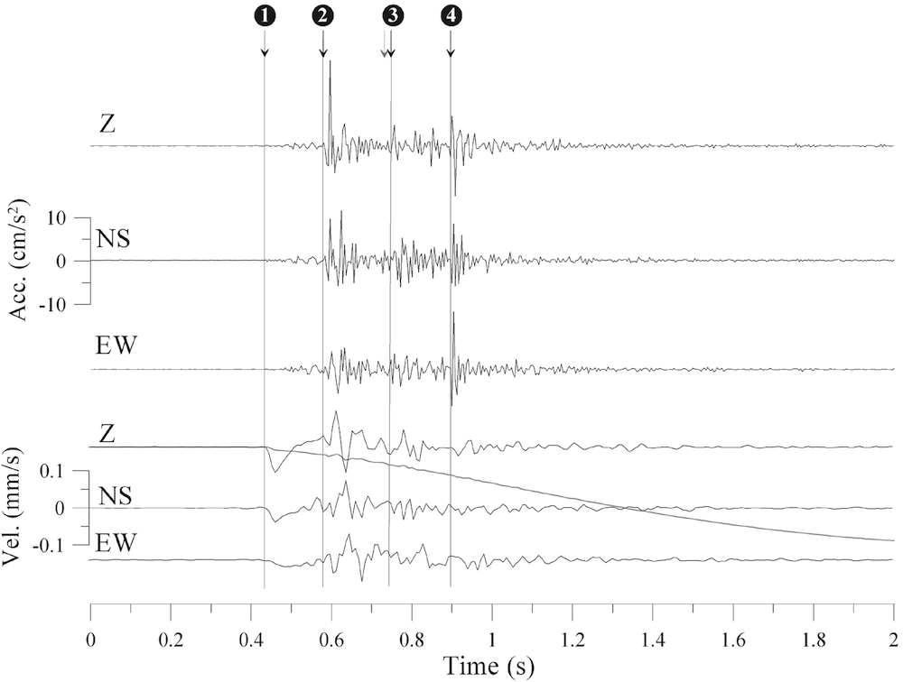 The seismometer record of the lightning strike and tree explosion.