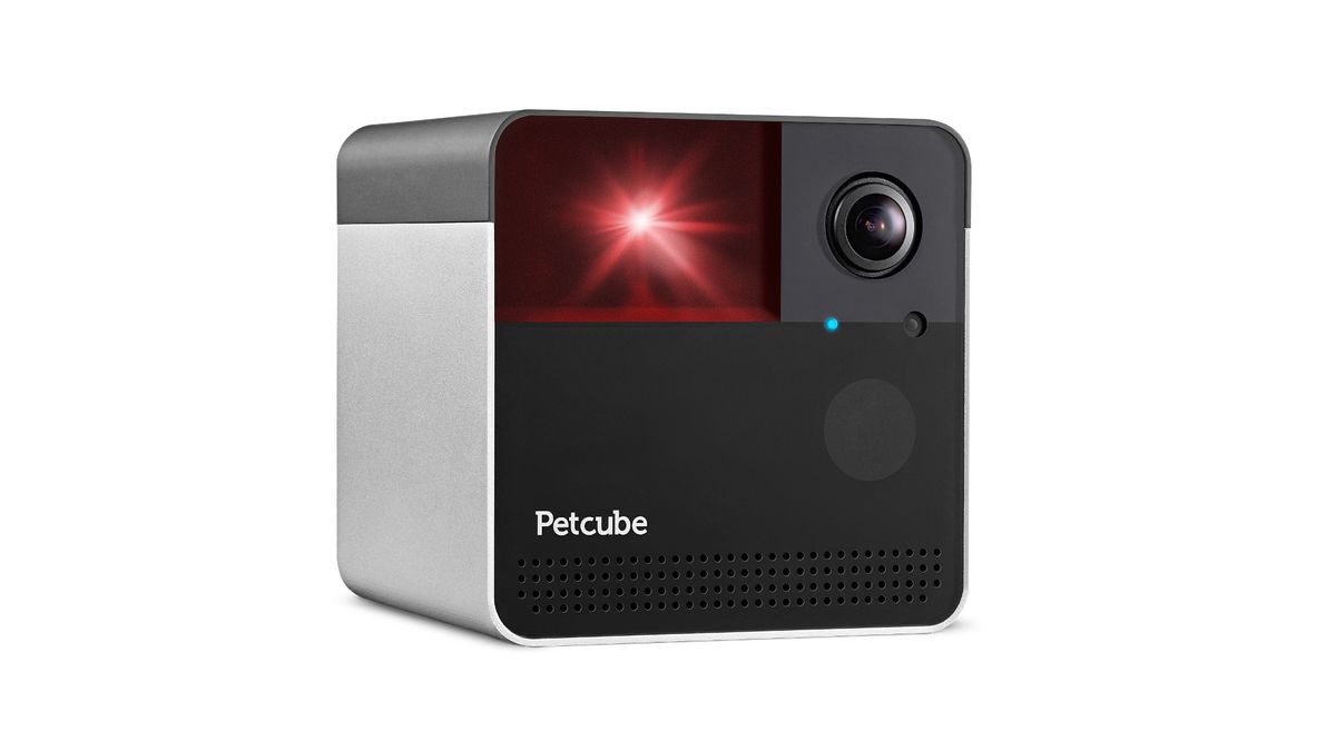Best pet cameras 2024 for keeping tabs on your animals PetsRadar