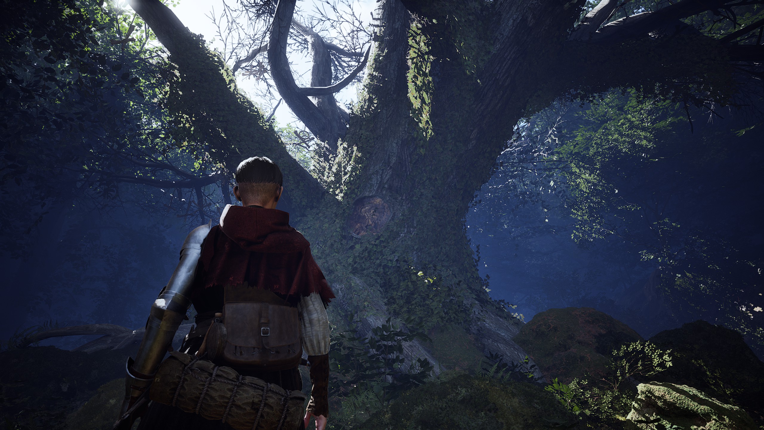 1348 Ex Voto's main character Aeta looking up at a huge tree in the middle of the woods