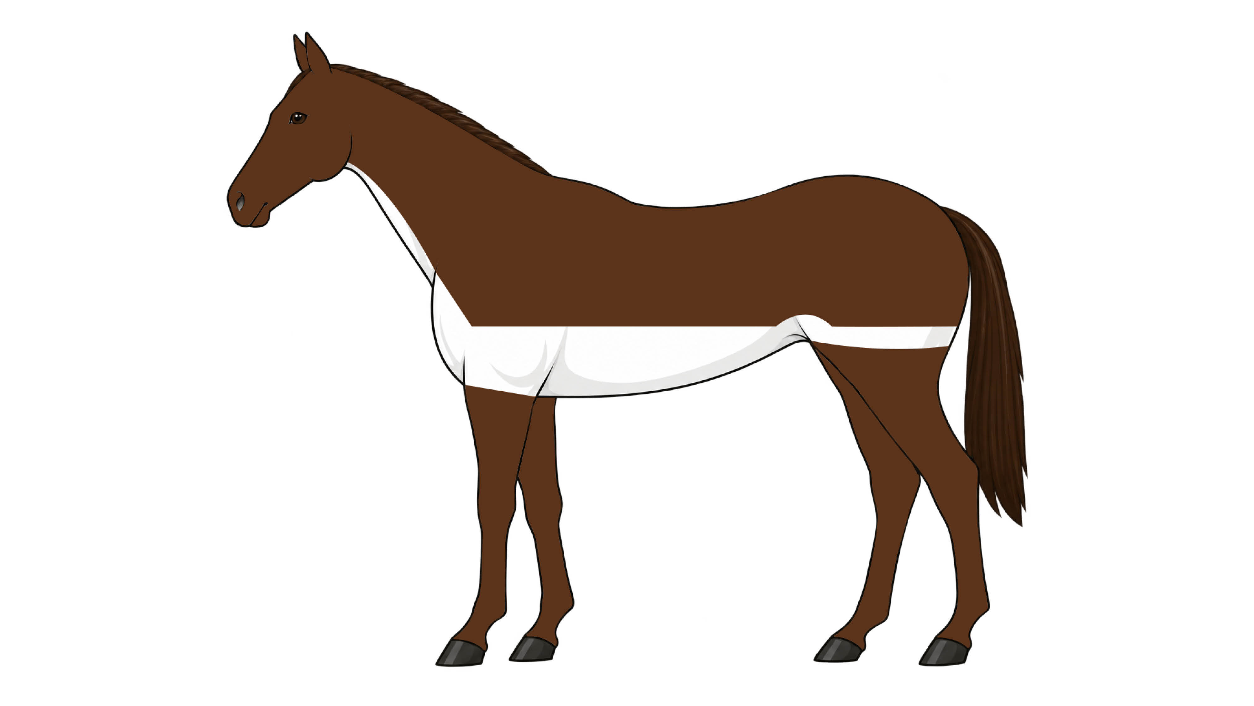 Diagram of low trace clip, with hair taken off under the neck, belly and sides