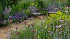flower garden with achillea, echinacea, monarda and other perennial plants, with a gravel path and wooden garden chairs