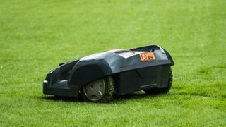 Robot lawn mower on grass