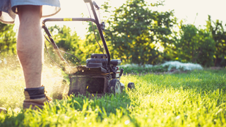 Image of a lawn mower