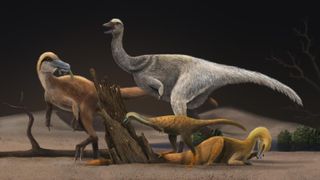 Artistic reconstruction of four representative alvarezsauroids, Haplocheirus sollers (left), Patagonykus puertai (upper middle), Linhenykus monodactylus (lower middle) and Bannykus wulatensis (lower right), illustrating the body size and dieting change in alvarezsauroid dinosaurs