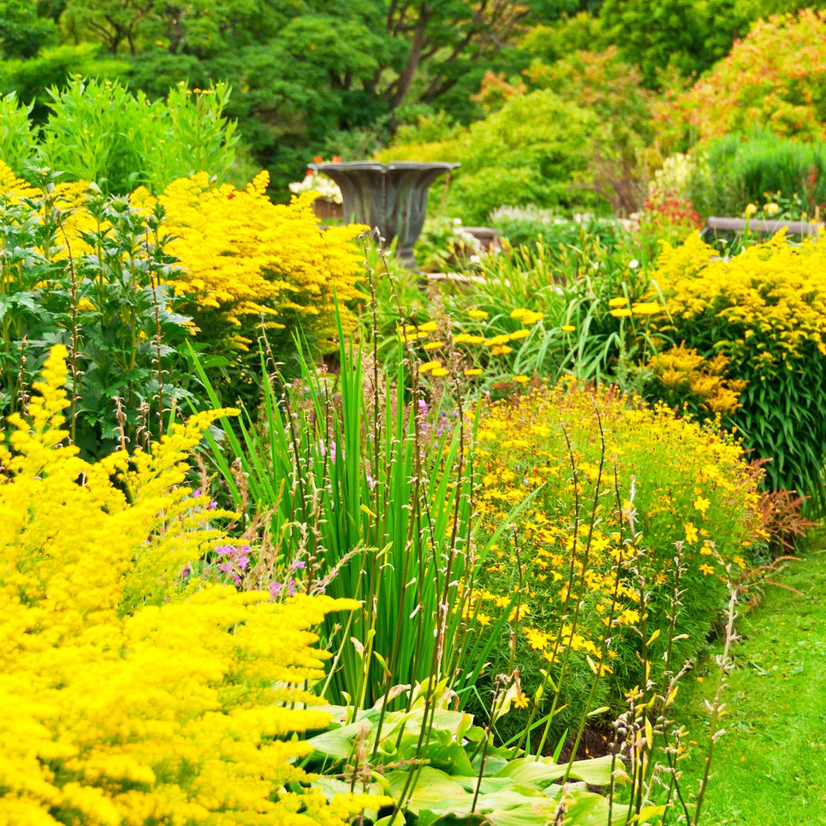 how-to-elevate-your-garden-design-using-the-rule-of-three-gardening