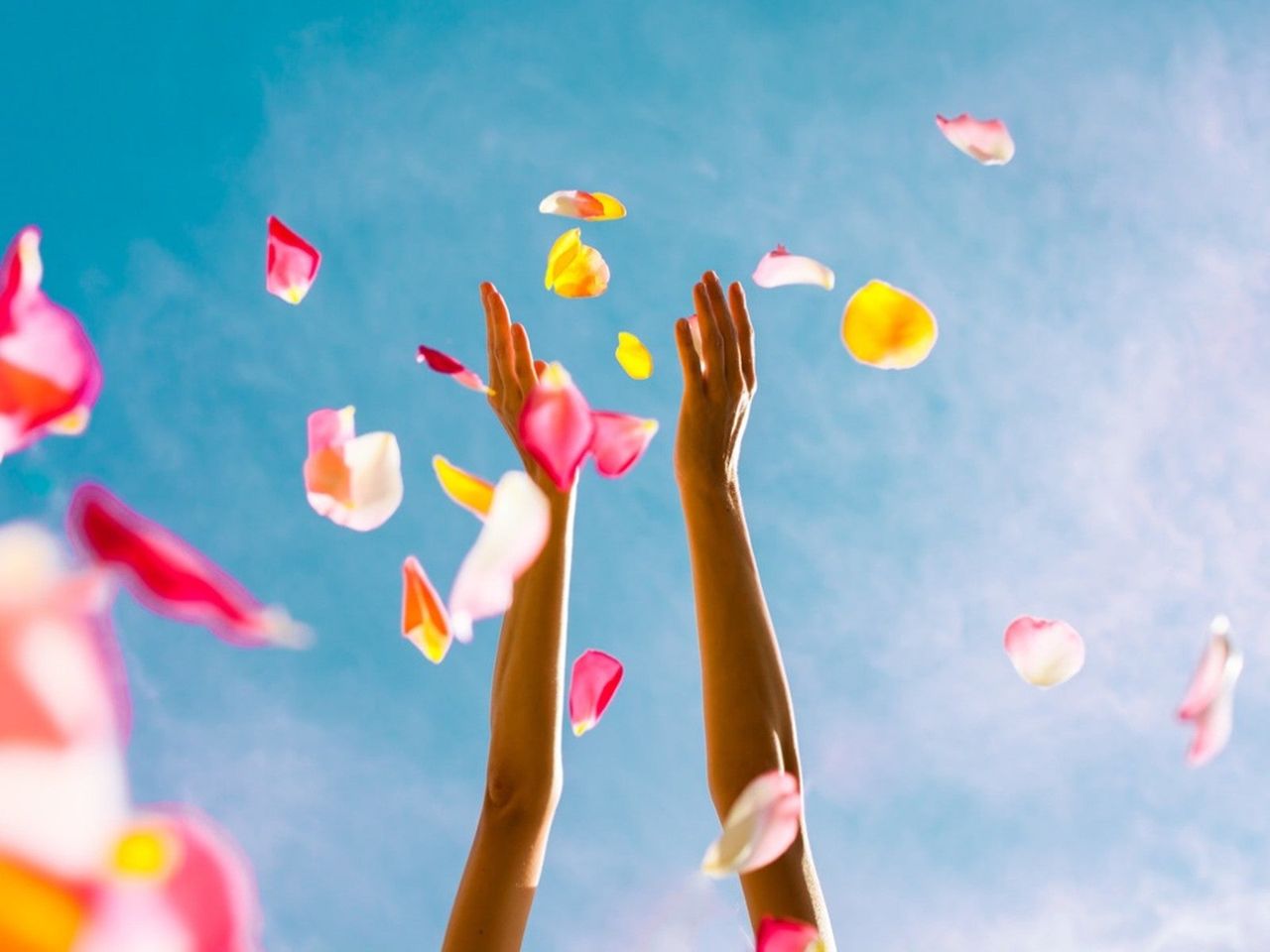 Arms reaching up to a blue sky having just thrown flower petals