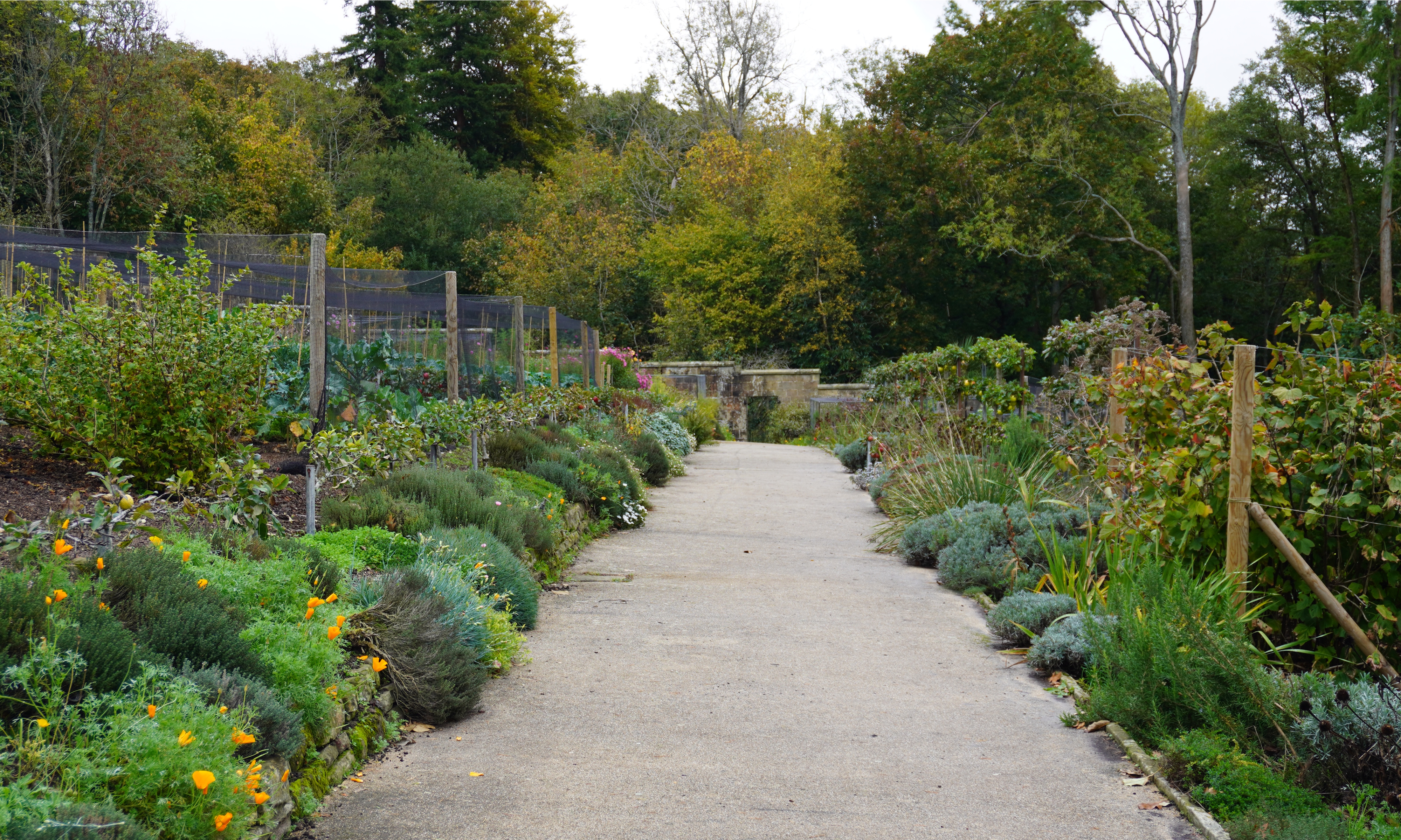Herbaceous borders in Garvetye Manor&#039;s kitchen garden