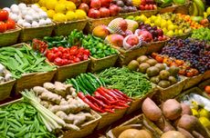 By far, the biggest use of GMO technology is in large-scale agricultural crops.