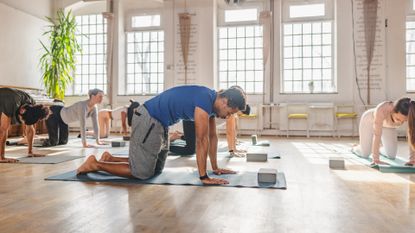 group of people in a large bright studio performing cat-cow yoga pose back stretch