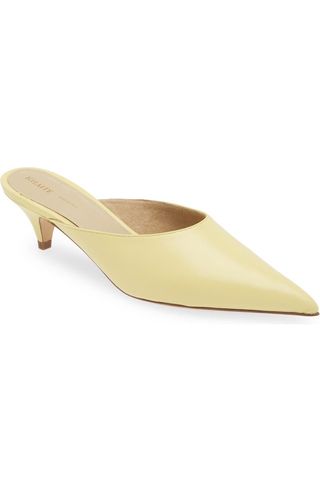 River Kitten Heel Pointed Toe Mule