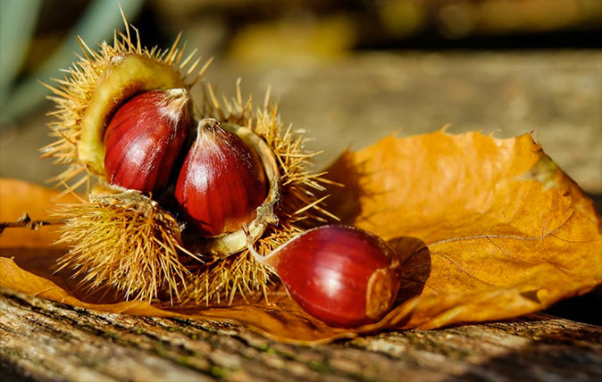 Chestnuts