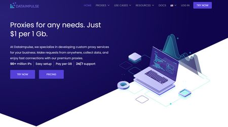 DataImpulse website