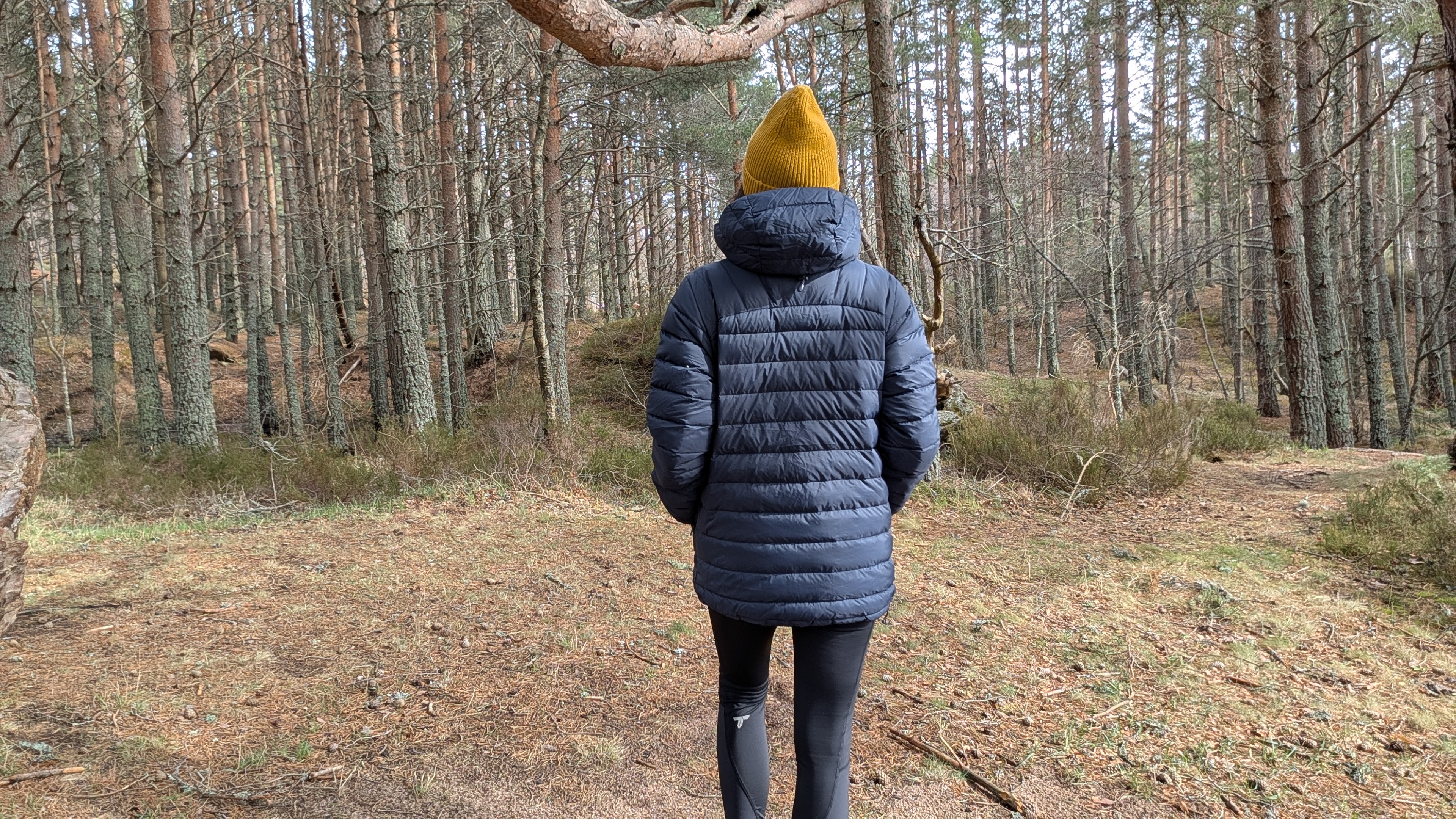 A woman in a forest photographed from behind wearing a yellow hat and blue down jacket with her hands in her pockets