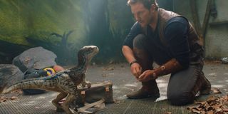Chris Pratt with baby raptor in Jurassic World: Fallen Kingdom