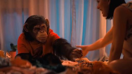 Ben the chimpanzee is shown in the trailer for Primate.