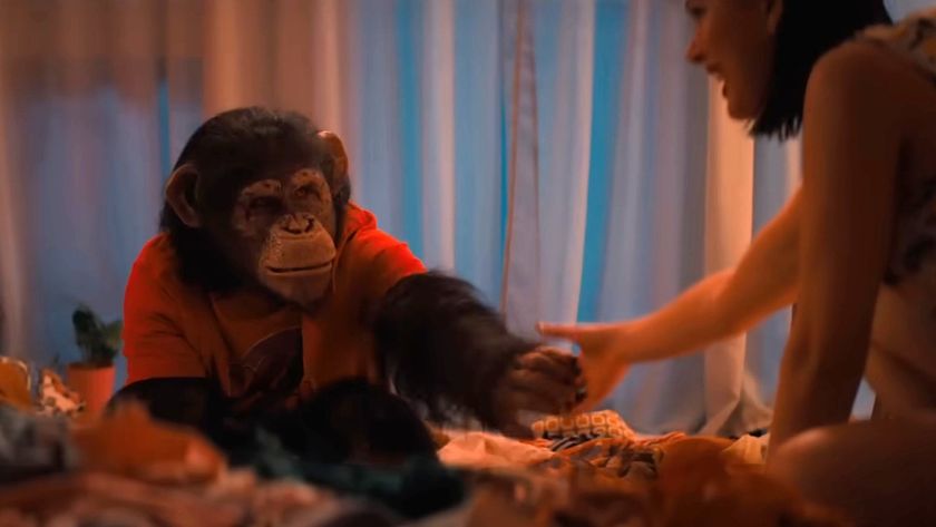 Ben the chimpanzee is shown in the trailer for Primate.