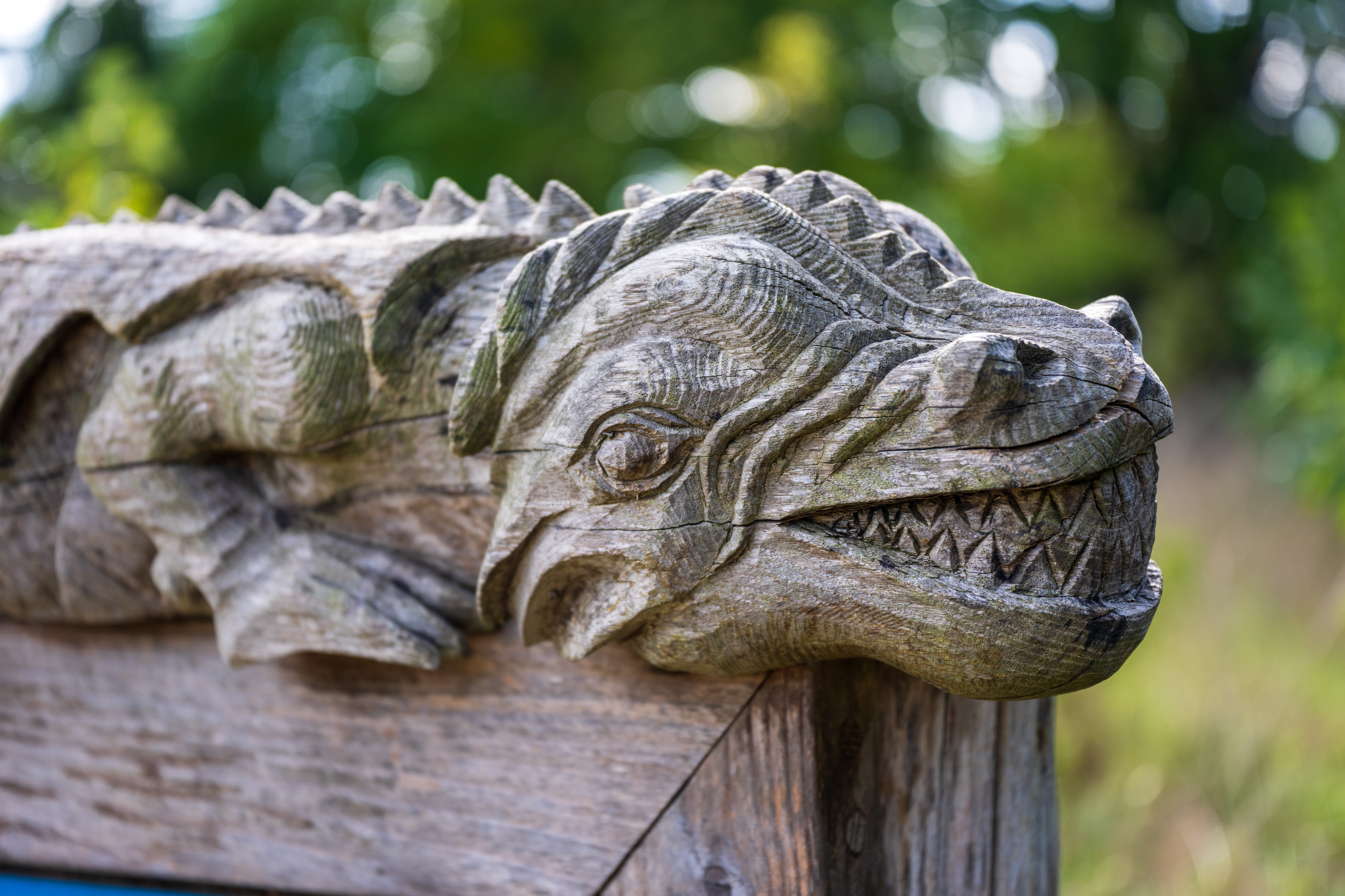 Nikon Z 24‑70mm f/2.8 S II example shot