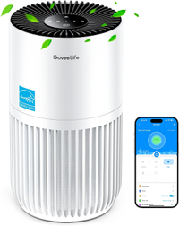 GoveeLife Mini Air Purifier: $49.99now $29.99 at Amazon
40% coupon
